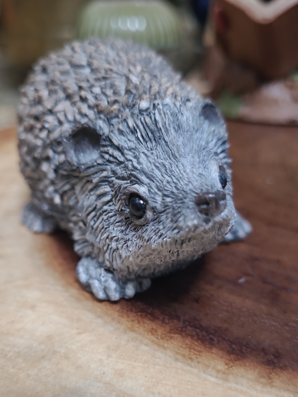 Hedgehog Collection - Picture 6 of 7